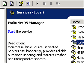 The service installed on a Windows Server 2003